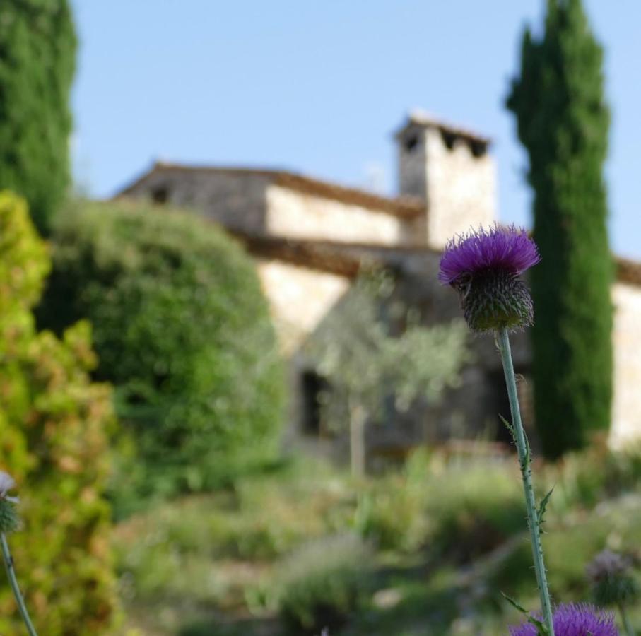 Domaine De La Xavoliere Hotel Saint-Cezaire-sur-Siagne Exterior photo