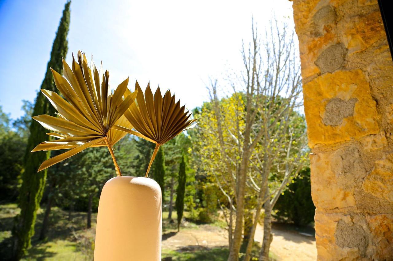 Domaine De La Xavoliere Hotel Saint-Cezaire-sur-Siagne Exterior photo